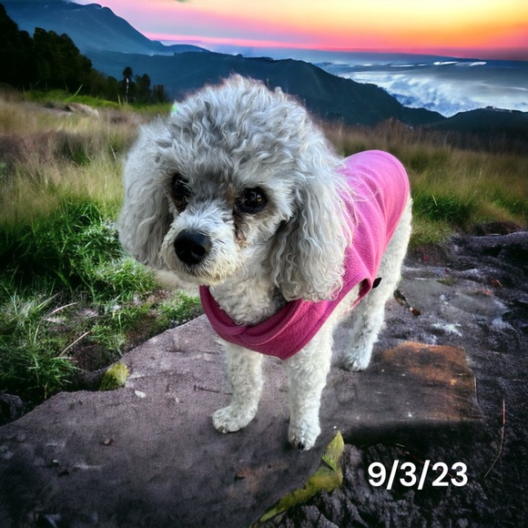 Up to 30% Off entire closet… don’t miss out! Make Me An Offer!! - Picture 10 of 15